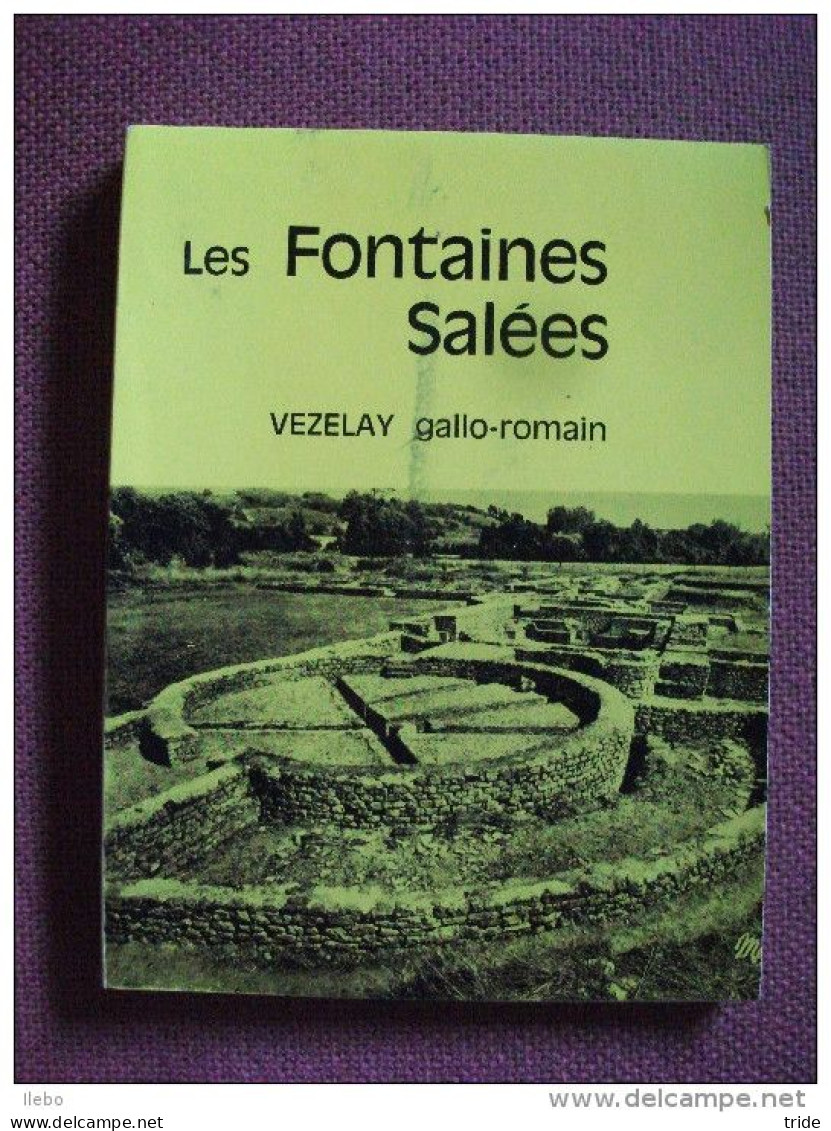 Les Fontaines Salées Vézelay Gallo-romain François Vogade Photos Cartes 1972 - Toeristische Brochures