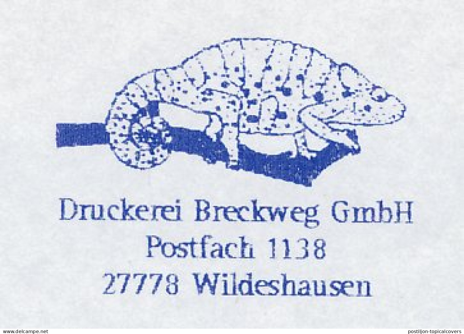 Meter Cut Germany 2004 Lizard - Chameleon - Other & Unclassified