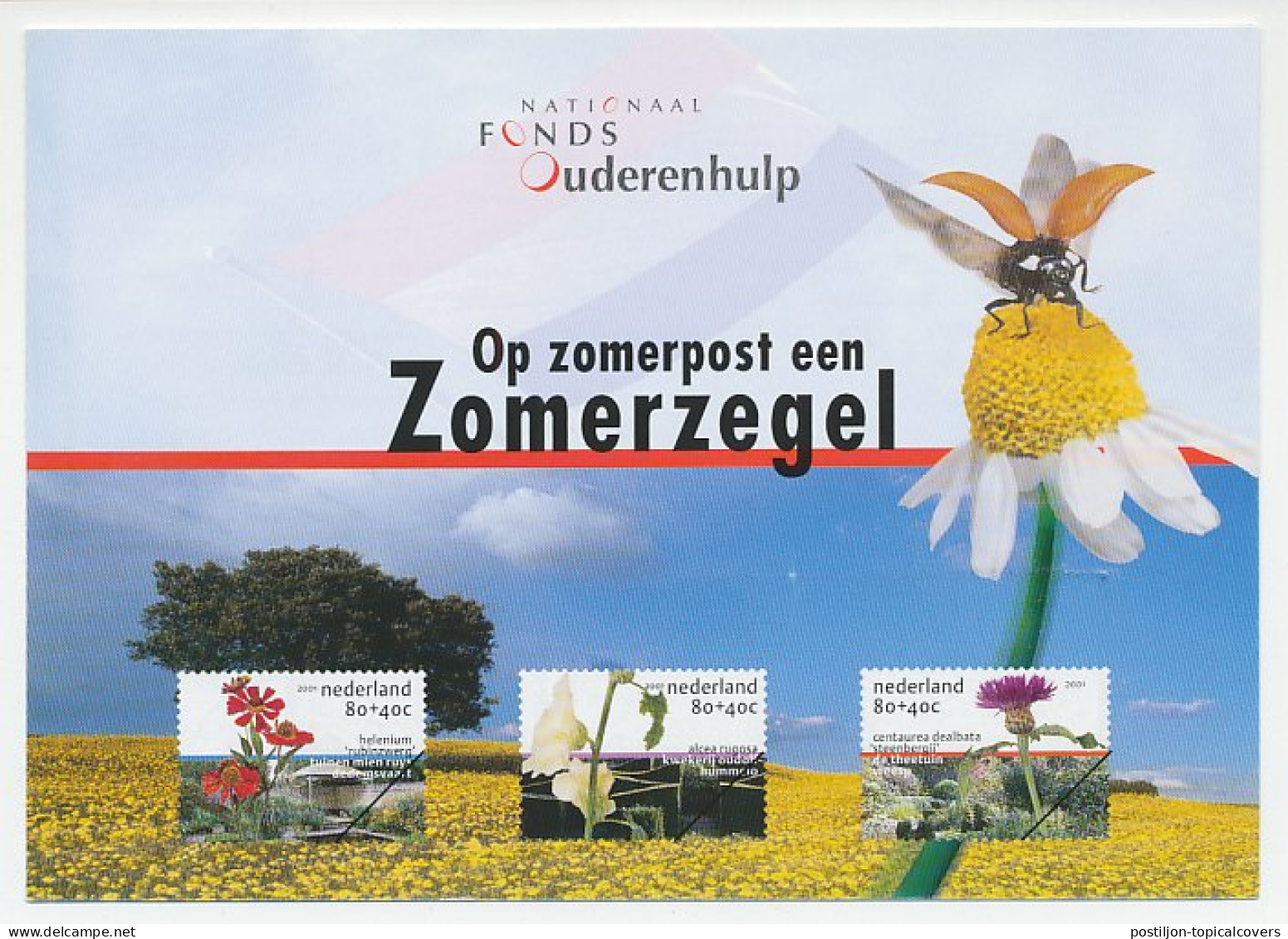 Zomerbedankkaart 2001 - Complete Serie Bijgeplakt - FDC - Non Classés