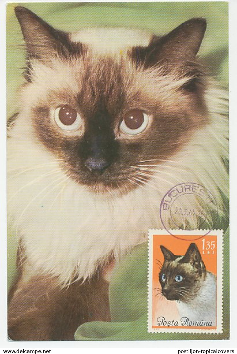 Maximum Card Rumania 1965 Cat - Other & Unclassified