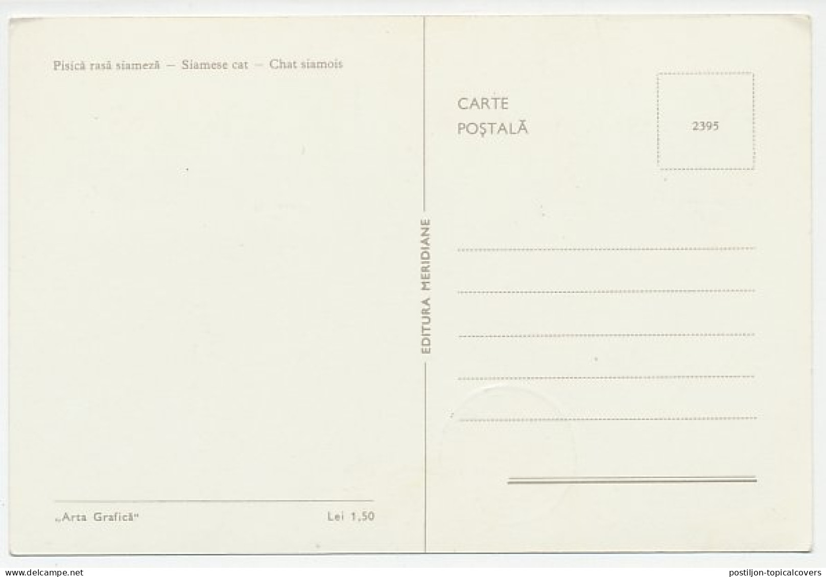 Maximum Card Rumania 1965 Cat - Sonstige & Ohne Zuordnung