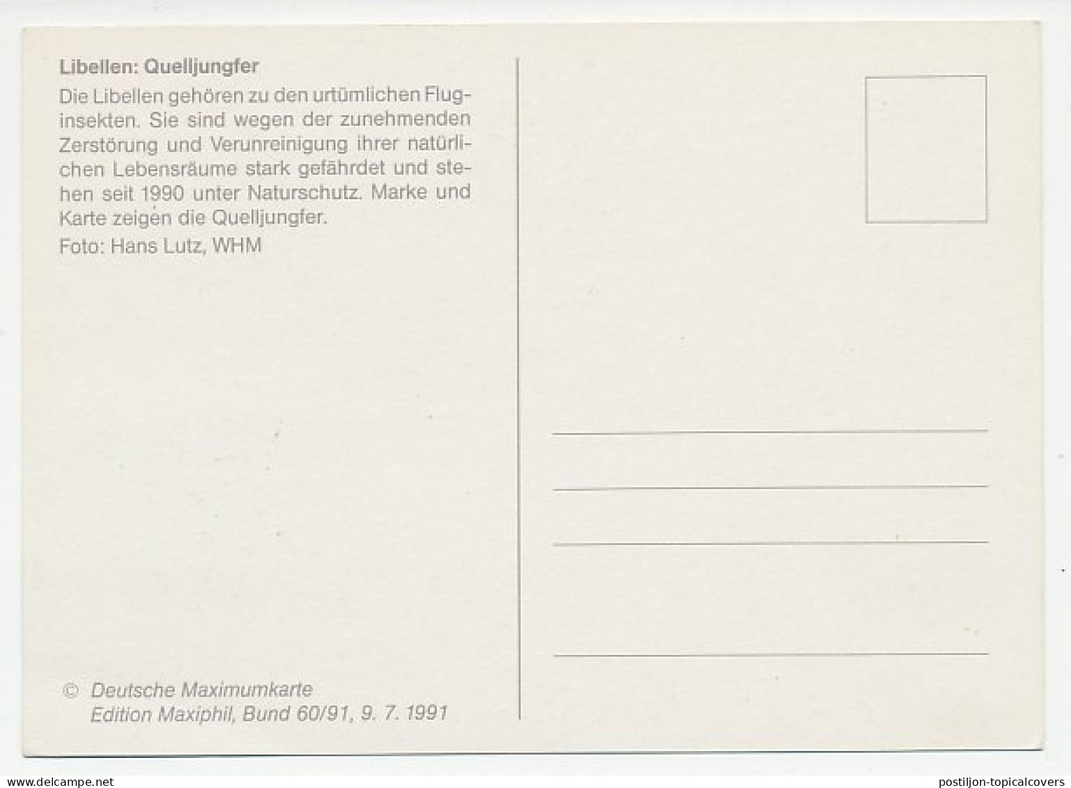 Maximum Card Germany 1991 Dragonfly - Autres & Non Classés