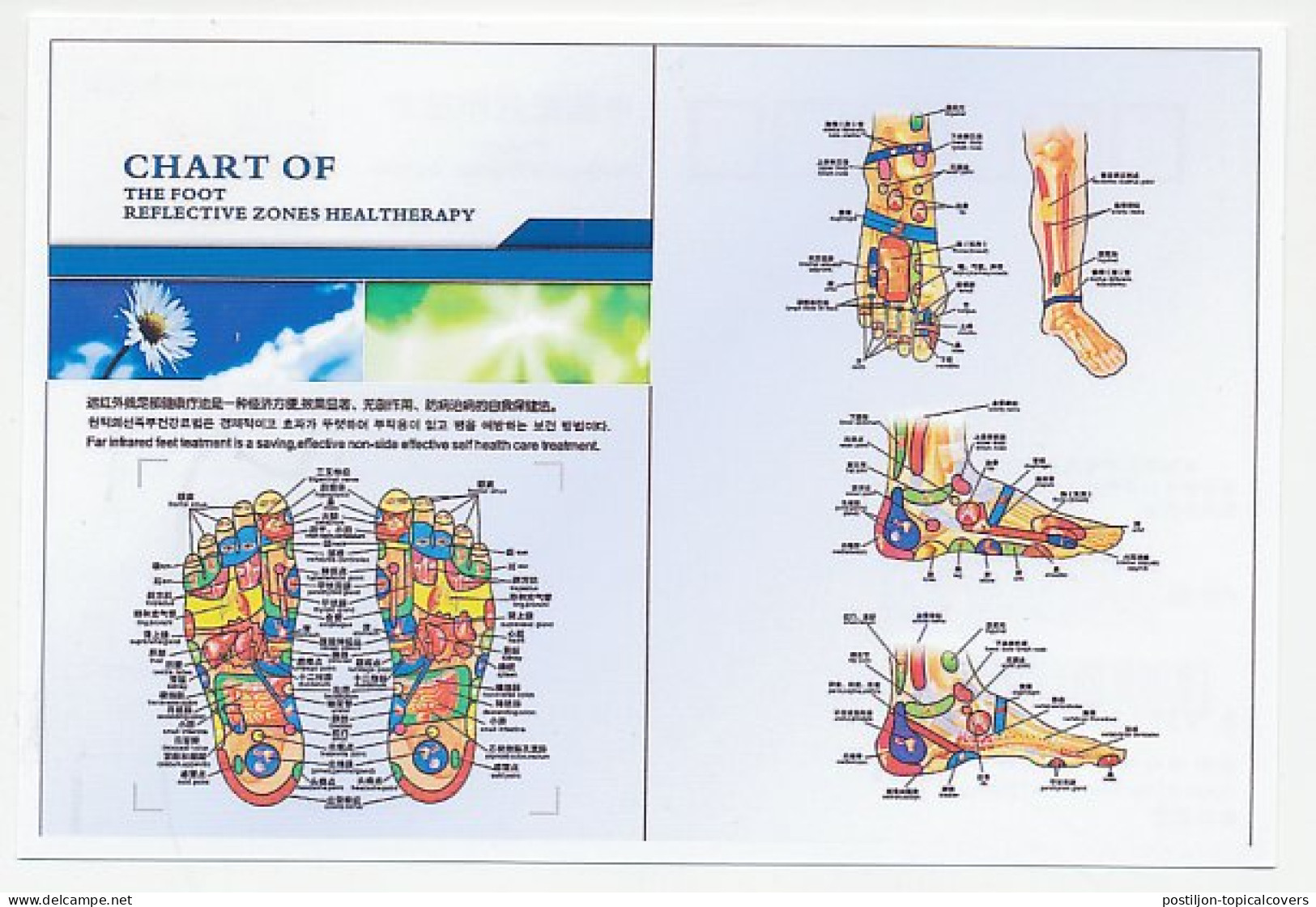 Postal Stationery China 2006 Acupuncture - Foot - Other & Unclassified