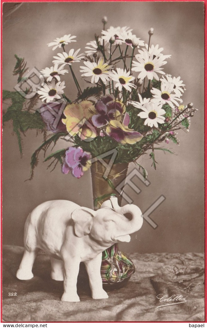 Bouquet De Fleurs Dans Un Vase Et Un Éléphant Blanc (1) - Autres & Non Classés