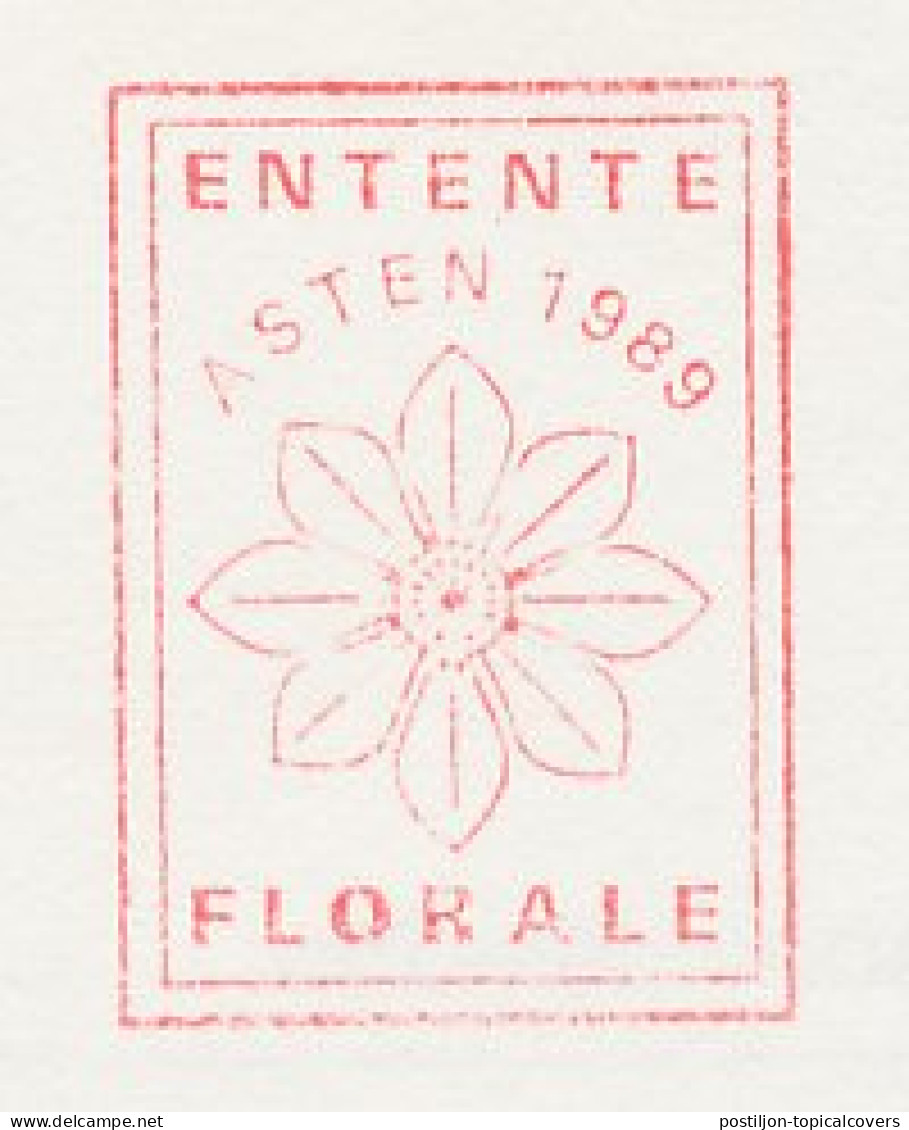 Meter Card Netherlands 1991 Flower Entente Florale - Asten - Autres & Non Classés