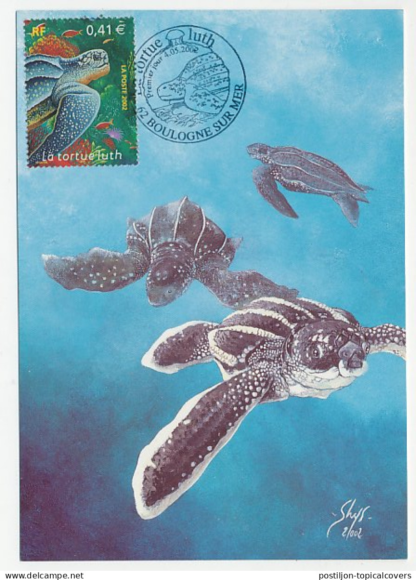 Maximum Card France 2002 Turtle - Autres & Non Classés