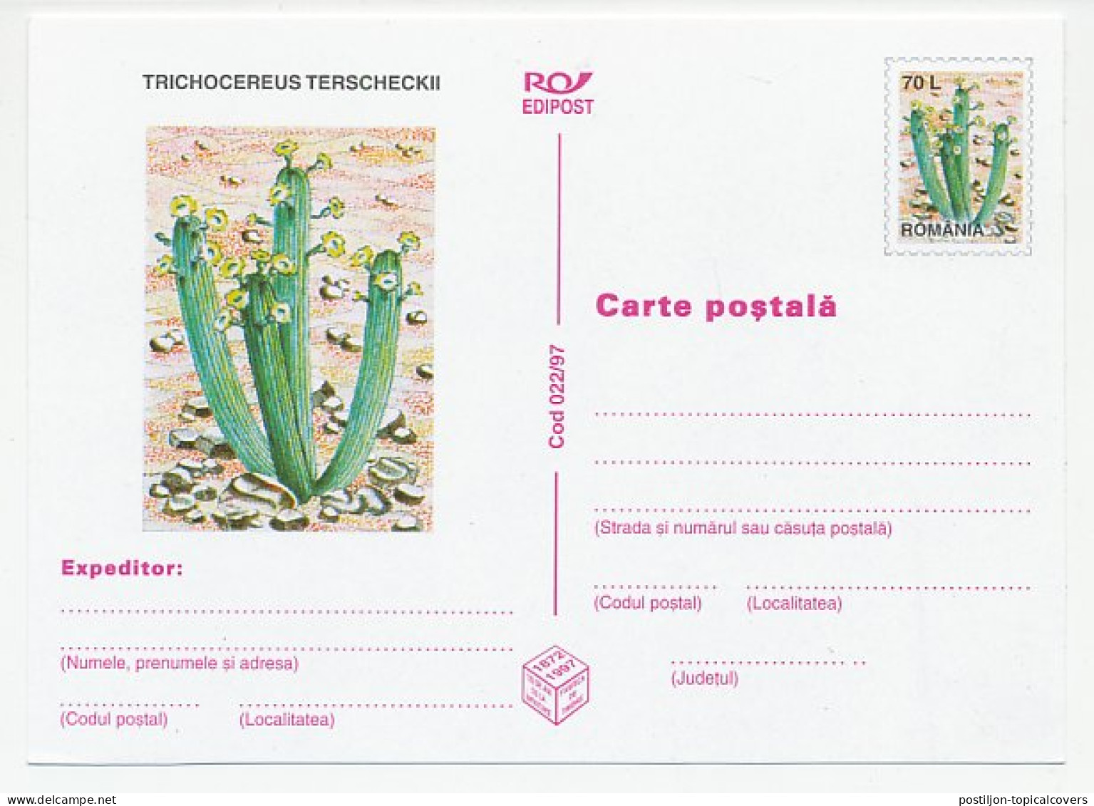 Postal Stationery Romania 1997 Cactus - Altri & Non Classificati