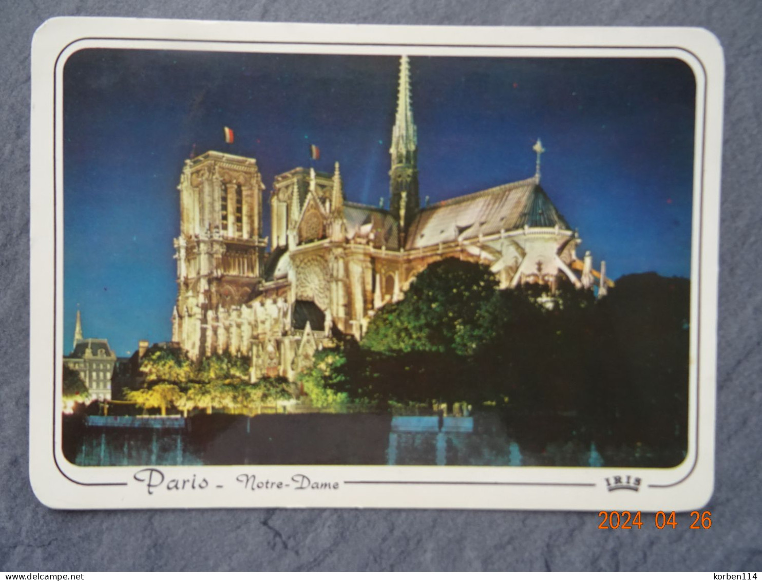 NOTRE DAME ILLUMINEE - Notre Dame De Paris
