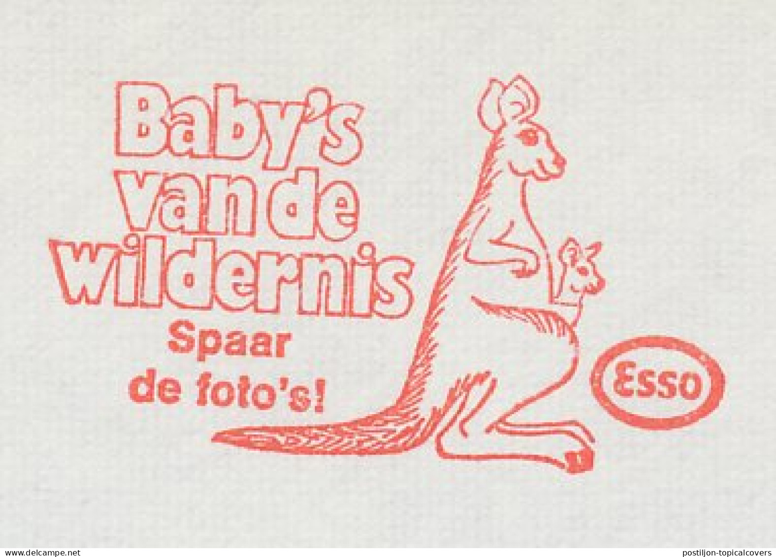 Meter Cut Netherlands 1972 Kangaroo - Esso - Babies Of The Wilderness - Altri & Non Classificati
