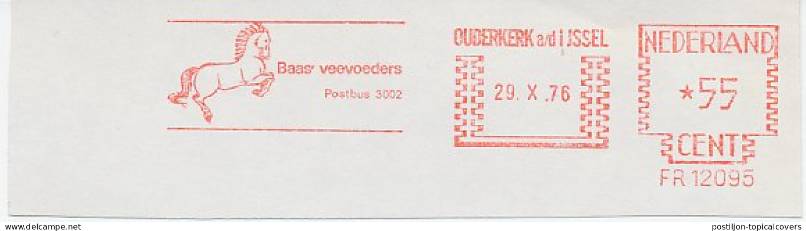 Meter Cut Netherlands 1976 Horse - Hippisme