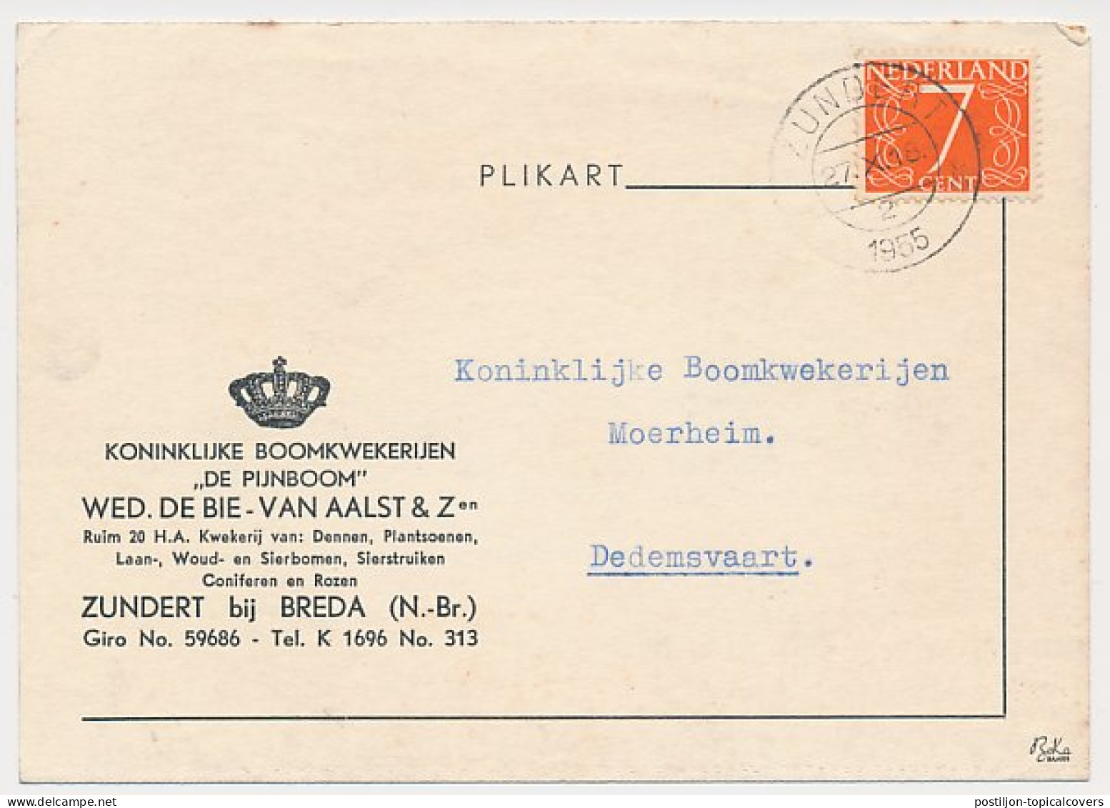 Firma Briefkaart Zundert 1955 - Boomkweekerijen - Non Classificati