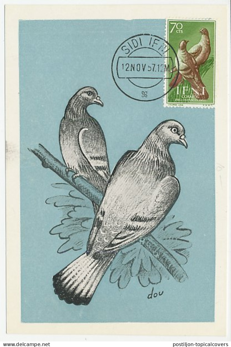 Maximum Card IFNI 1957 Pigeon - Other & Unclassified