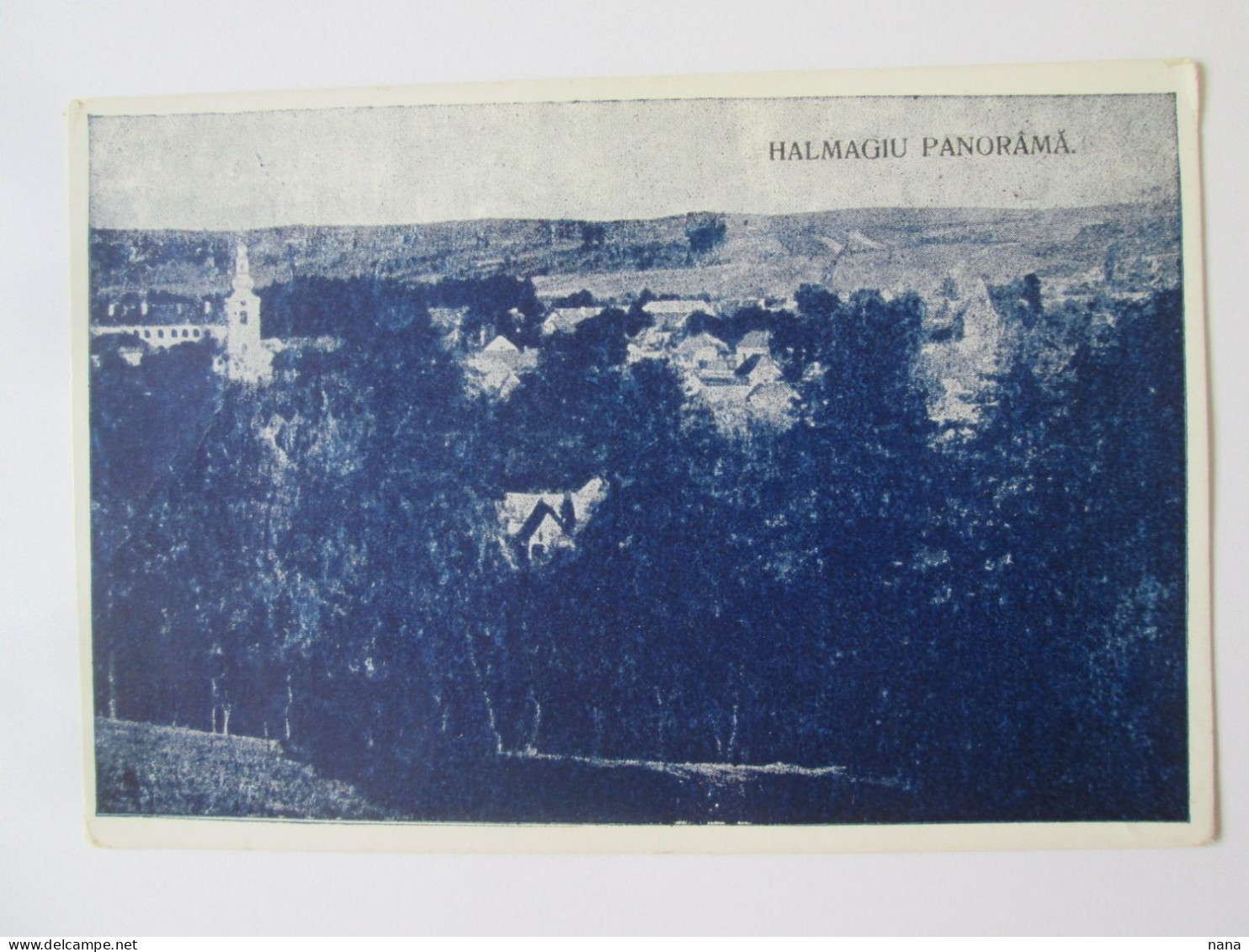 Romania-Hălmagiu(Arad):Panorama Carte Postale Vers 1930/Panorama Unused Postcard Around 1930 - Rumänien