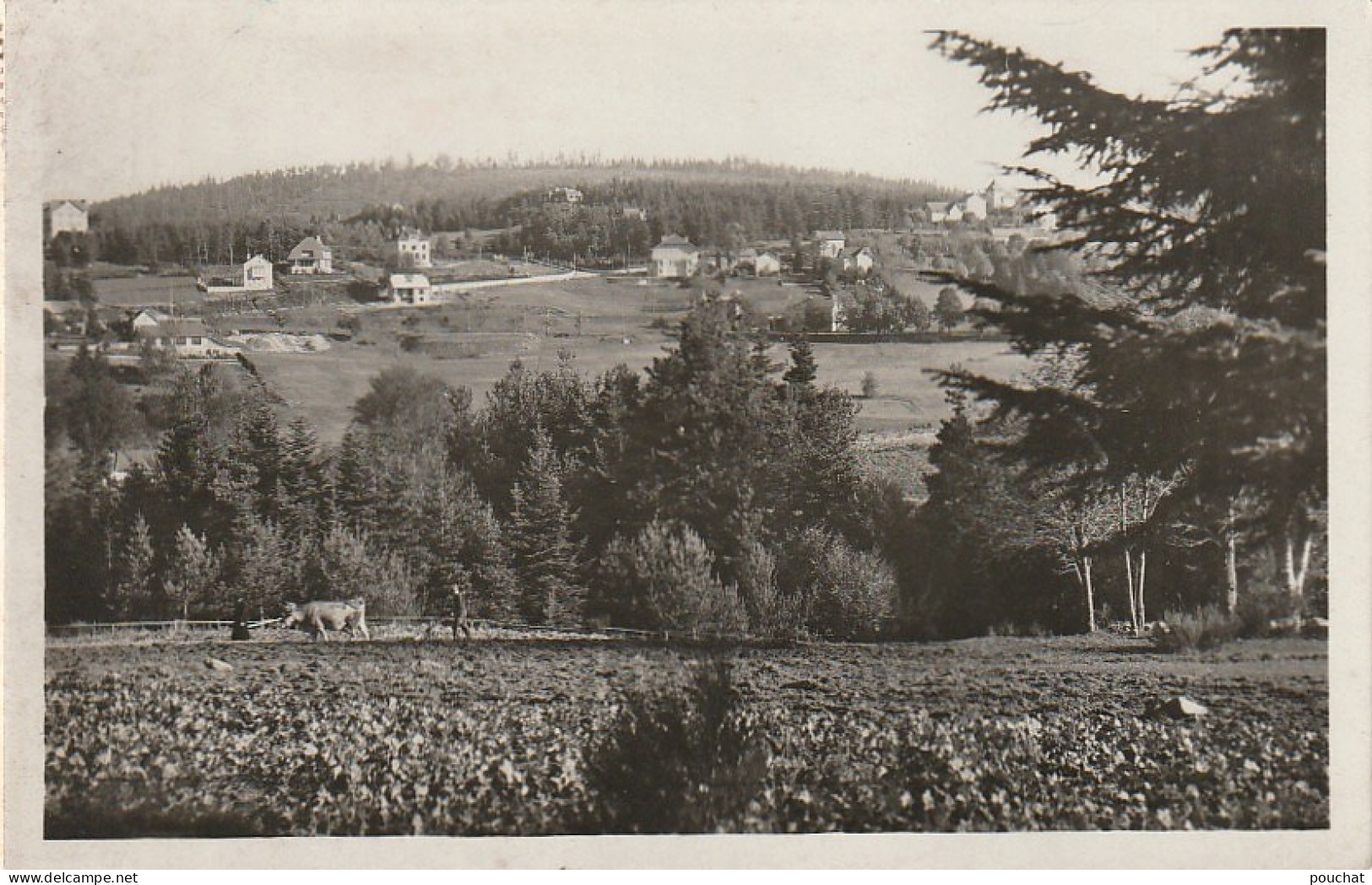 ZY 60-(43) LE CHAMBON SUR LIGNON - NOUVELLES VILLAS ET BOIS DE PEYBROUSSON - LABOUR - 2 SCANS - Le Chambon-sur-Lignon