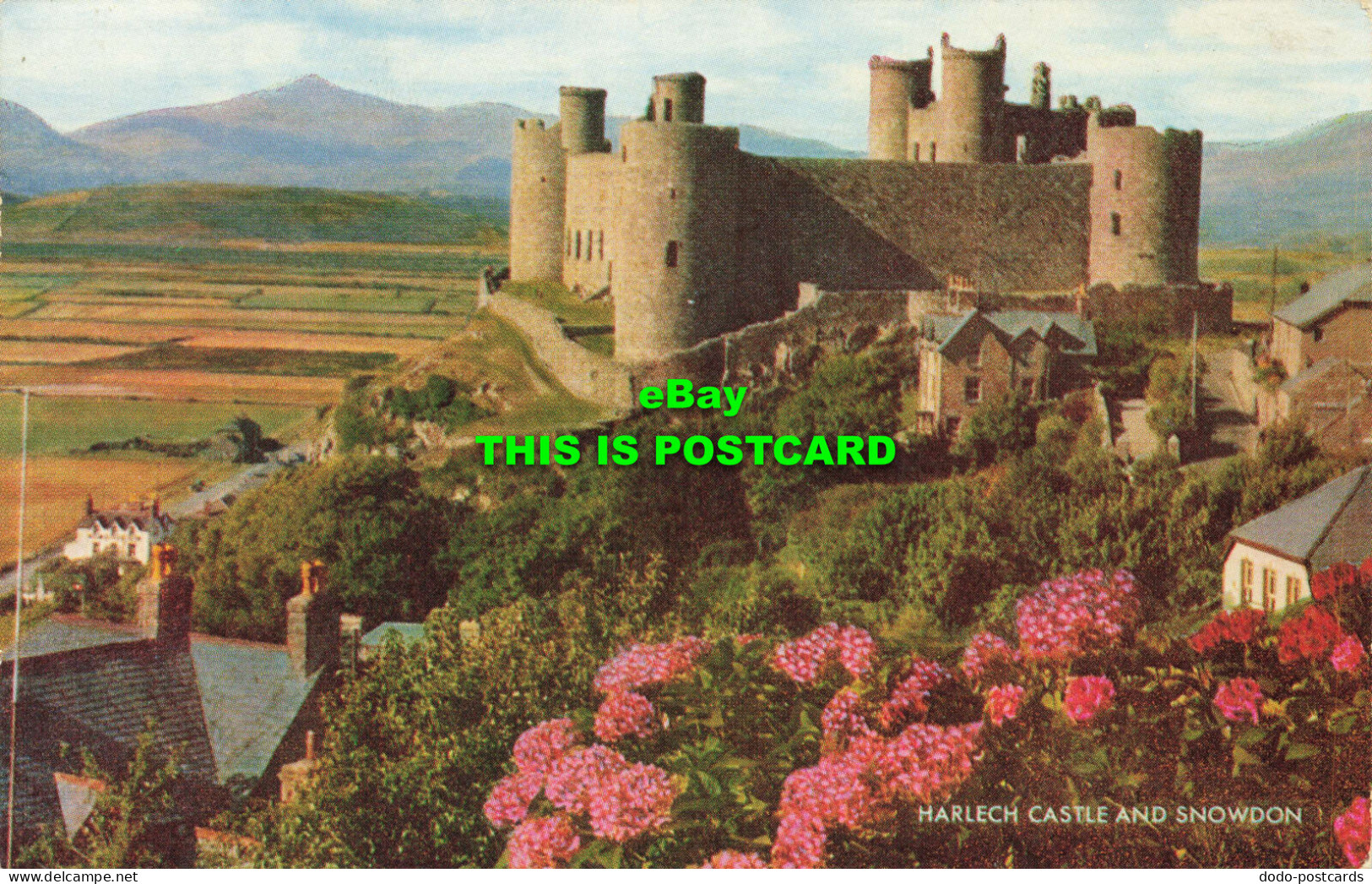 R573306 Harlech Castle And Snowdon. Salmon. 1975 - Wereld