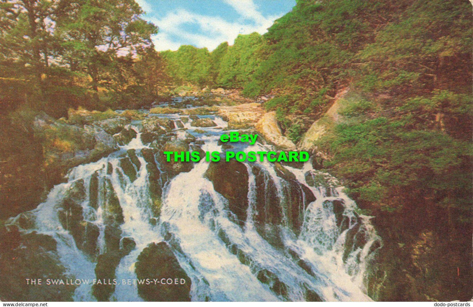 R573309 Swallow Falls. Betws Y Coed. Salmon - Wereld