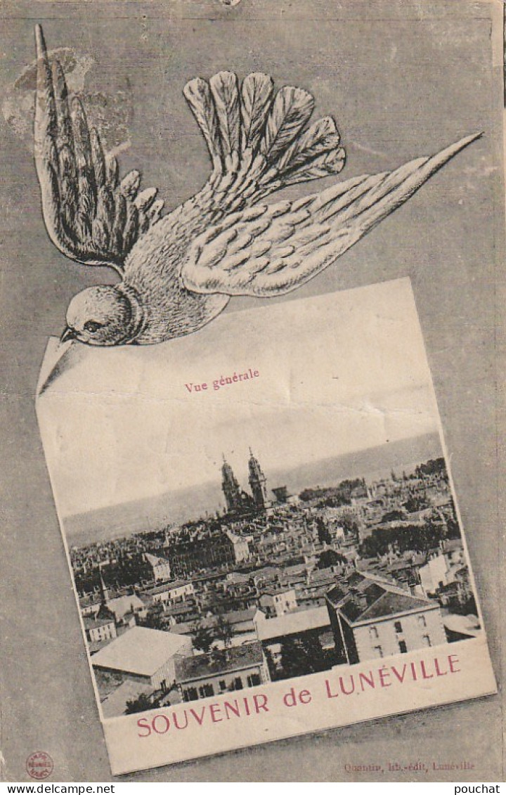 ZY 73-(54) SOUVENIR DE LUNEVILLE - CARTE FANTAISIE - OISEAU AVEC VUE  - 2 SCANS - Luneville