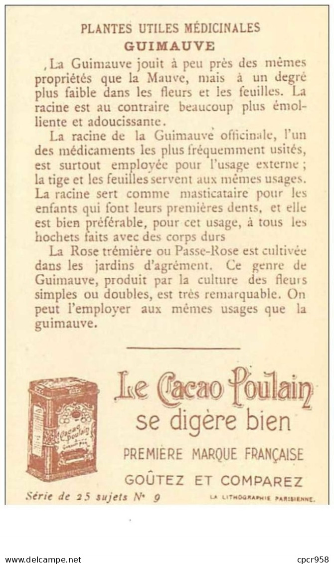 Chromos .n°42428 . Guimauve. Cacao Poulain. Plantes Utiles Médicinales. Fleurs Plantes .format 10.5x7 Cm. - Poulain