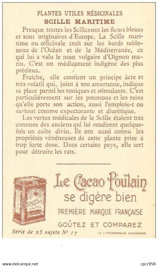 Chromos .n°42426 . Scille Maritime. Cacao Poulain. Plantes Utiles Médicinales. Fleurs Plantes .format 10.5x7 Cm. - Poulain