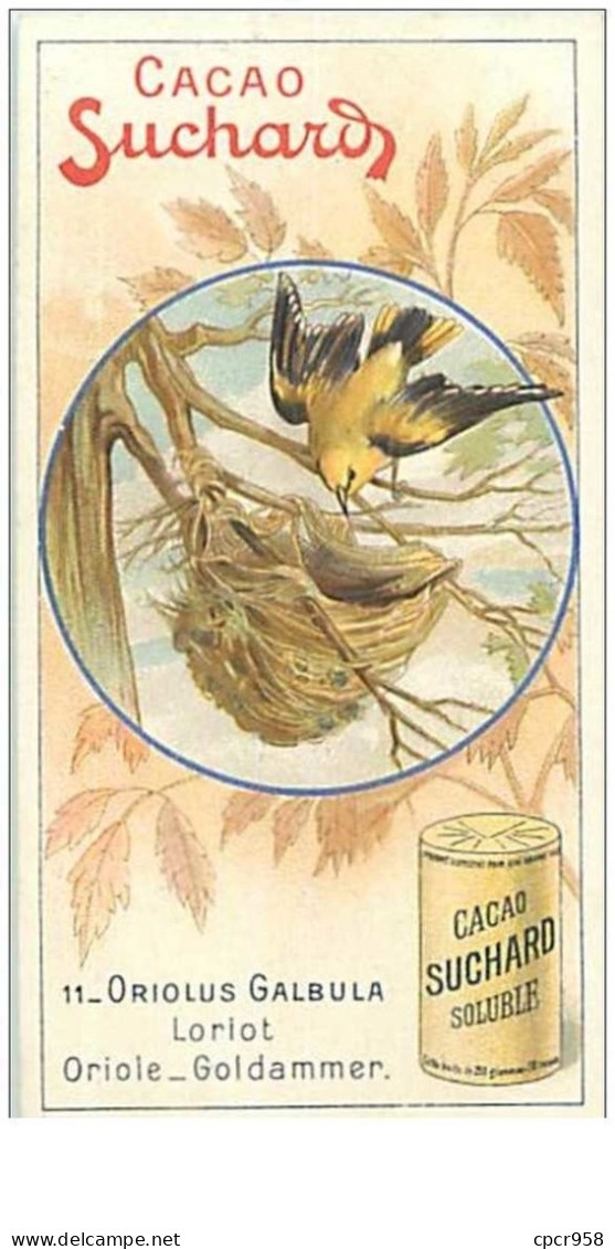 CHROMOS.SUCHARD.n°93.OISEAU.ORIOLUS GALBULA.LORIOT - Suchard