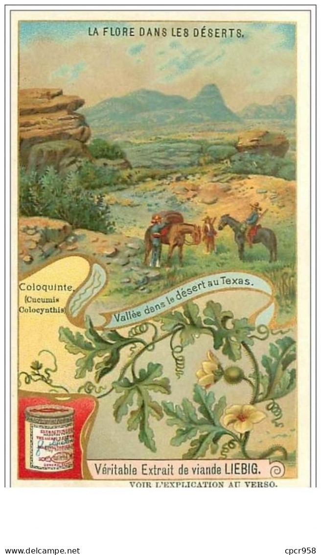 CHROMOS.LIEBIG.n°44.LA FLORE DANS LES DESERTS.COLOQUINTE.VALLEE DANS LE DESERT AU TEXAS - Liebig