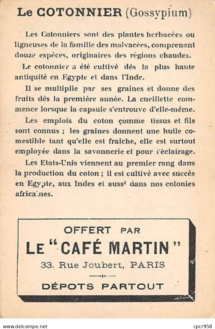 Chromos.AM16305.6x10 Cm Environ.Café Martin.Dans Les Grandes Cultures.Le Cotonnier.Récolte Du Coton En Amérique - Tea & Coffee Manufacturers