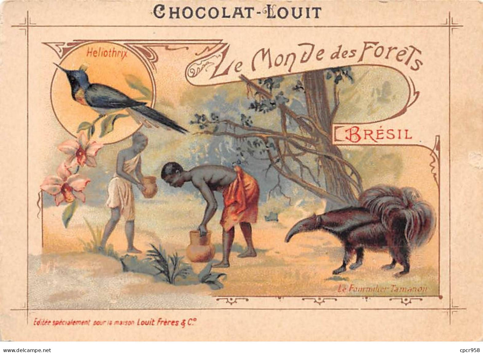 Chromos.AM15300.8x11 Cm Environ.Chocolat Louit.Le Monde Des Forêts.Brésil.Heliothrix.Fourmilier Tamanon - Louit