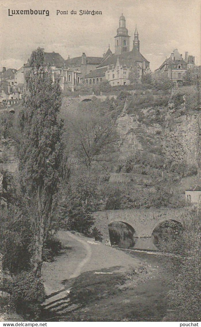 ZY 82- LUXEMBOURG - PONT DU STIERCHEN - 2 SCANS - Luxemburgo - Ciudad