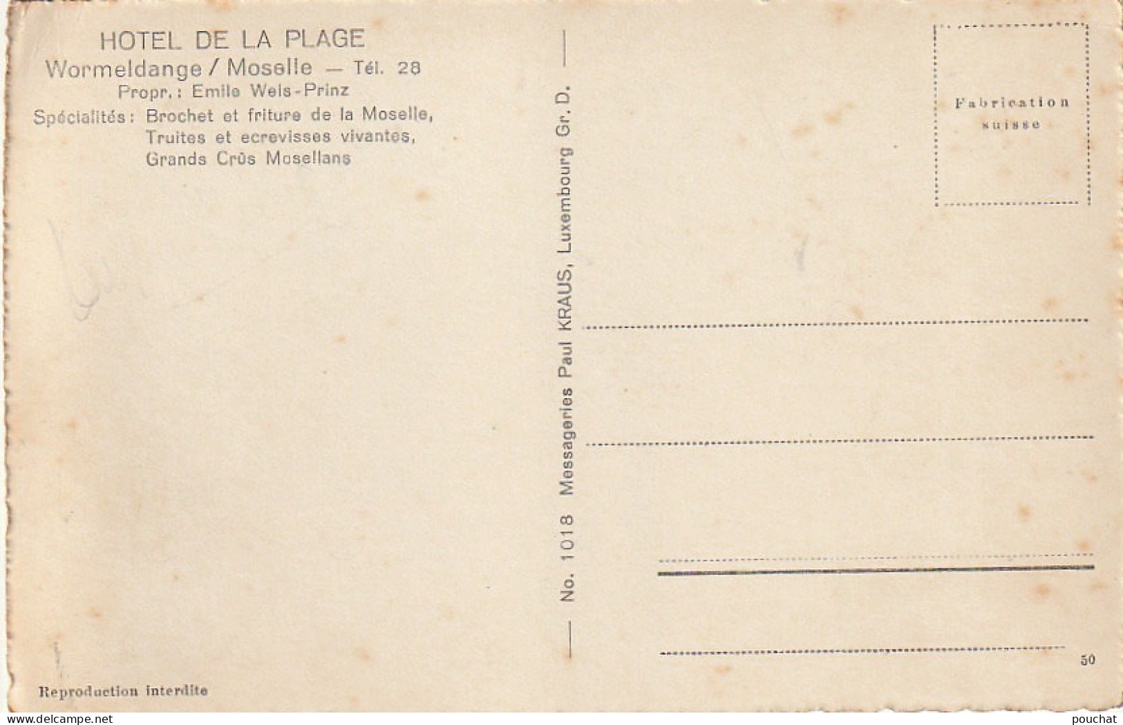 ZY 82- LUXEMBOURG - HOTEL DE LA PLAGE , WORMELDANGE - LA TERRASSE - 2 SCANS - Otros & Sin Clasificación