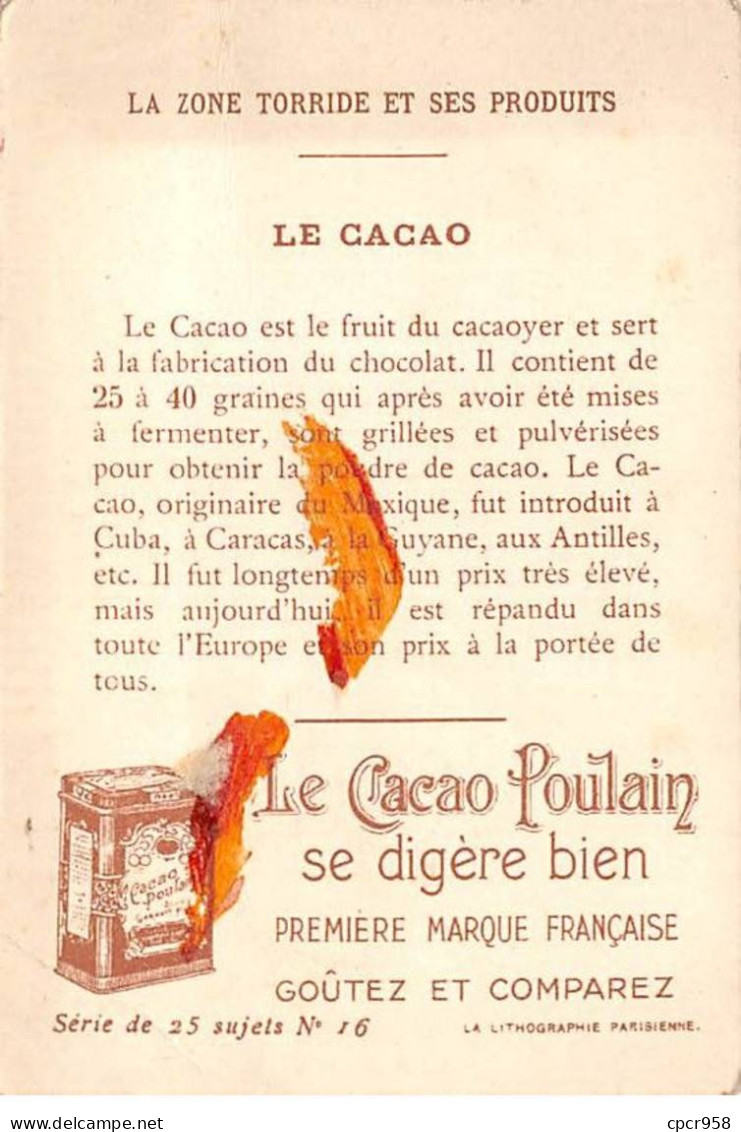 Chromos.AM16153.7x11 Cm Environ.Chocolat.Poulain.La Zone Torride Et Ses Produits.Cacao - Poulain