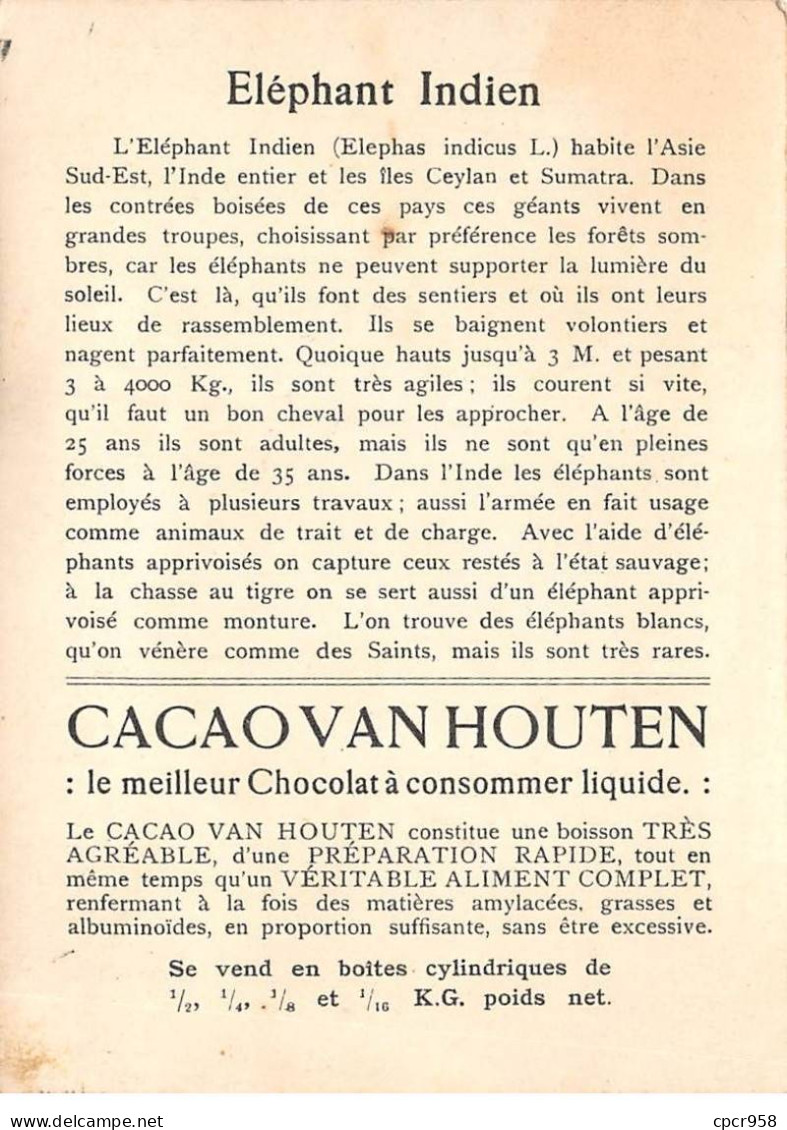 Chromos.AM16712.11x14 Cm Environ.Chocolat.Van Houten.Eléphant Indien - Van Houten