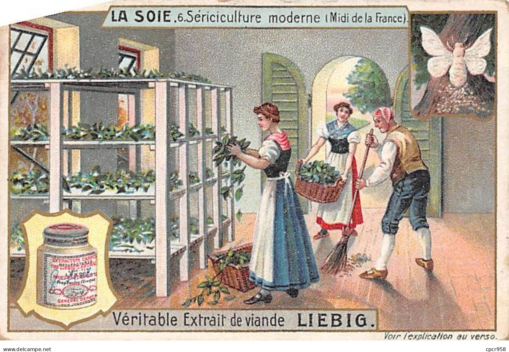 Chromos.AM13355.Liebig.La Soie.6.Sériciculture Moderne (Midi De La France) - Liebig