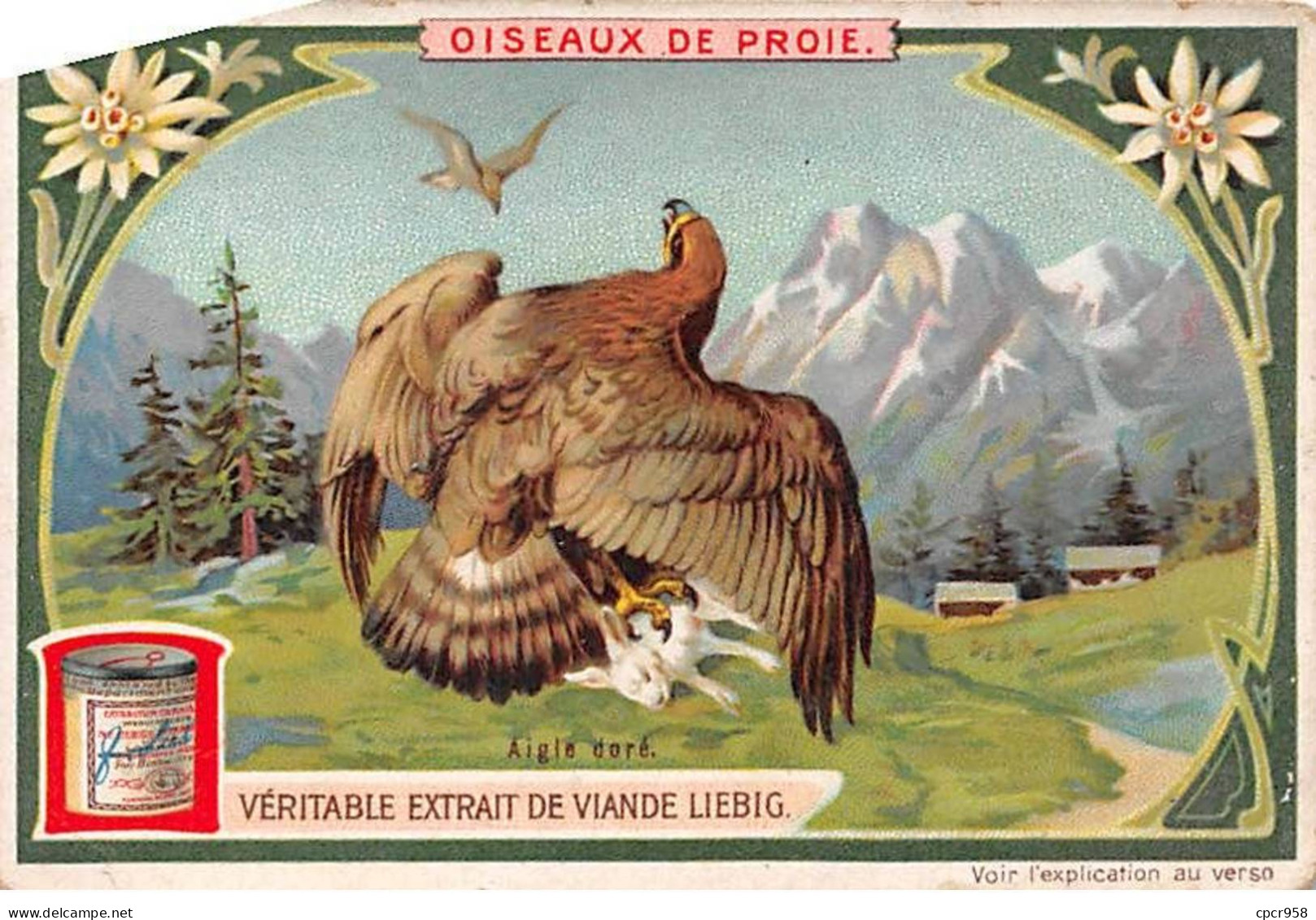 Chromos.AM13349.Liebig.Oiseaux De Proie.Aigle Doré - Liebig