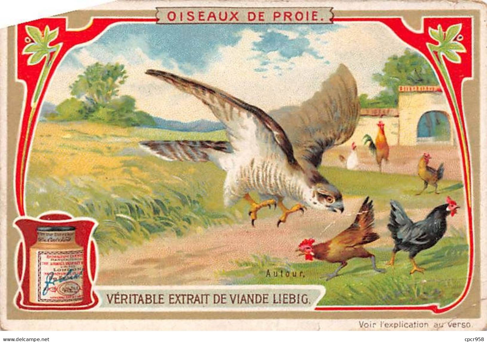 Chromos.AM13348.Liebig.Oiseaux De Proie.L'Autour - Liebig