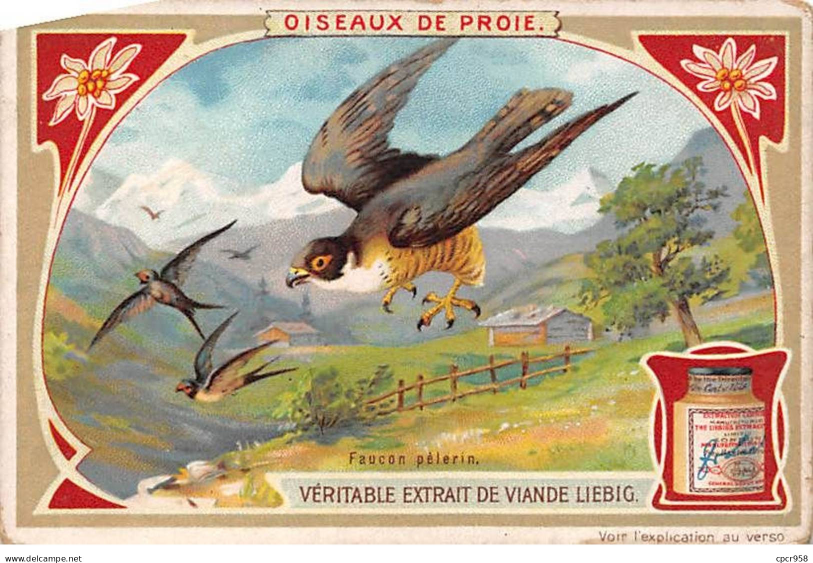 Chromos.AM13351.Liebig.Oiseaux De Proie.Faucon Pélerin - Liebig