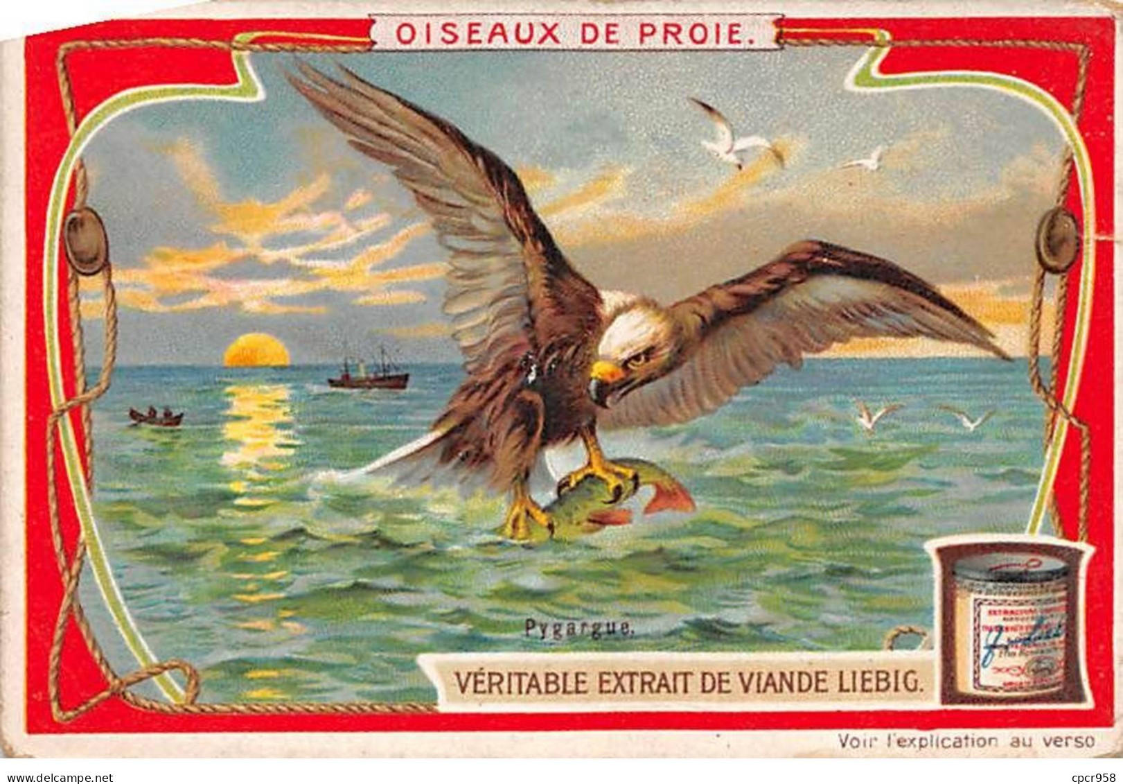 Chromos.AM13350.Liebig.Oiseaux De Proie.Pygargue - Liebig