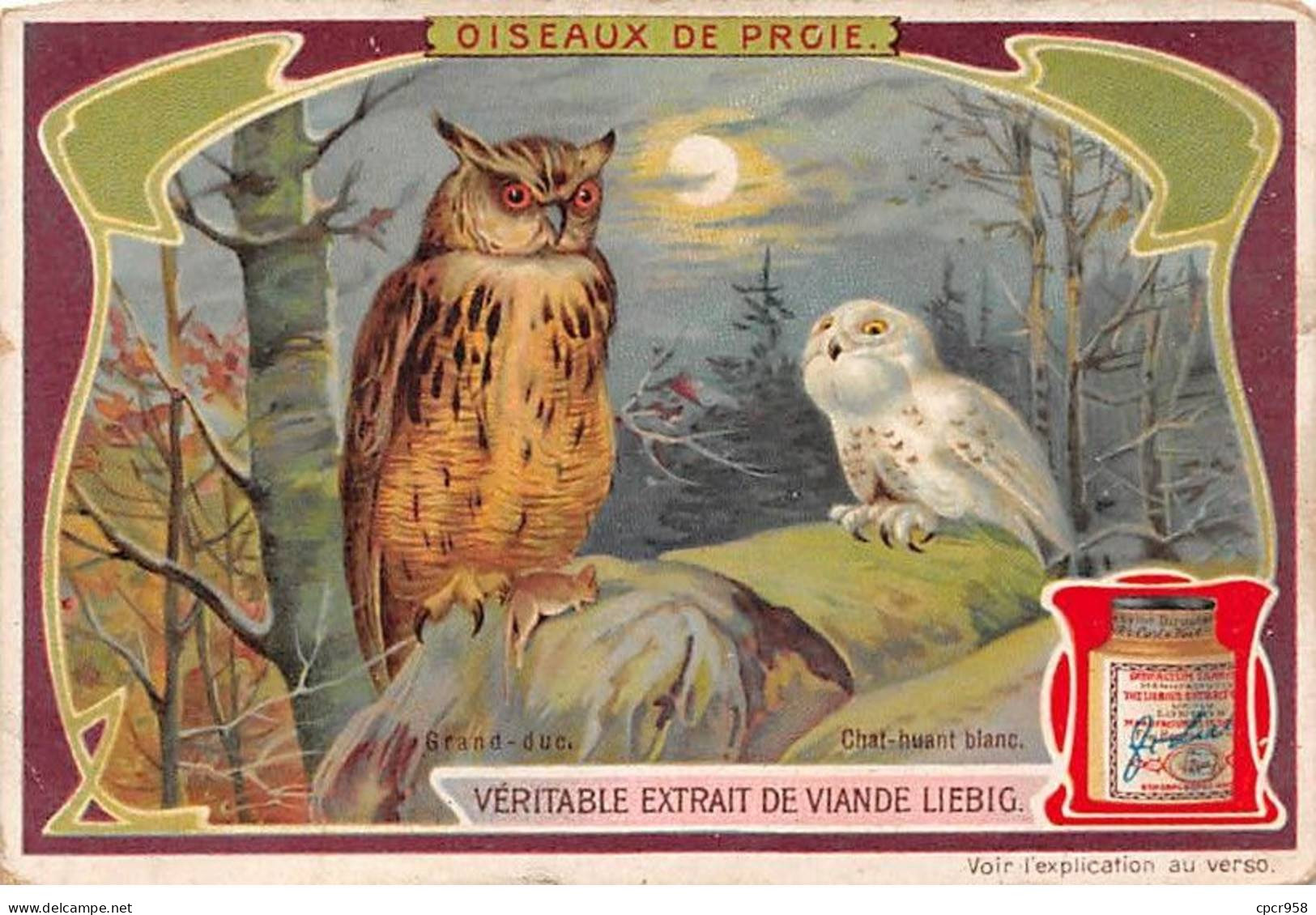 Chromos.AM13347.Liebig.Oiseaux De Proie.Grand Duc.Chat Huant Blanc - Liebig