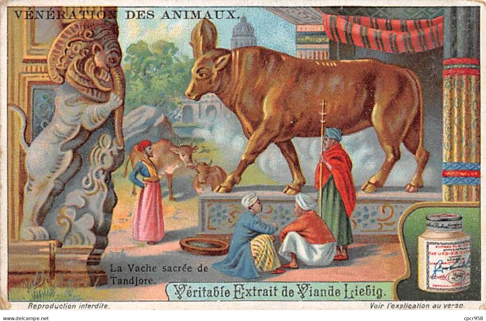 Chromos.AM13333.Liebig.Vénération Des Animaux.La Vache Sacrée De Tandjore - Liebig