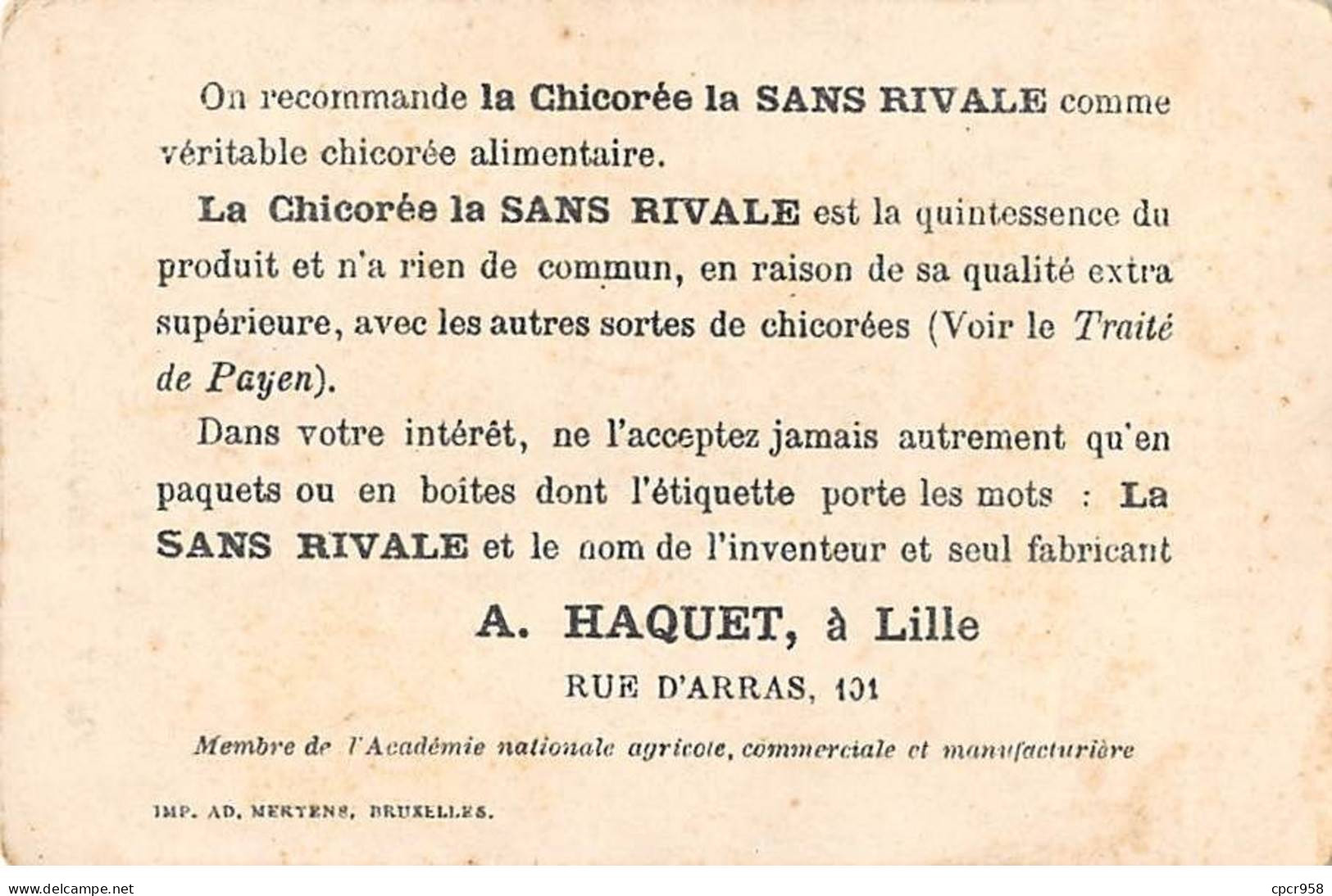 Chromos.AM16620.9x13 Cm Environ.Chicorée.La Sans Rivale.Général De Négrier - Tè & Caffè