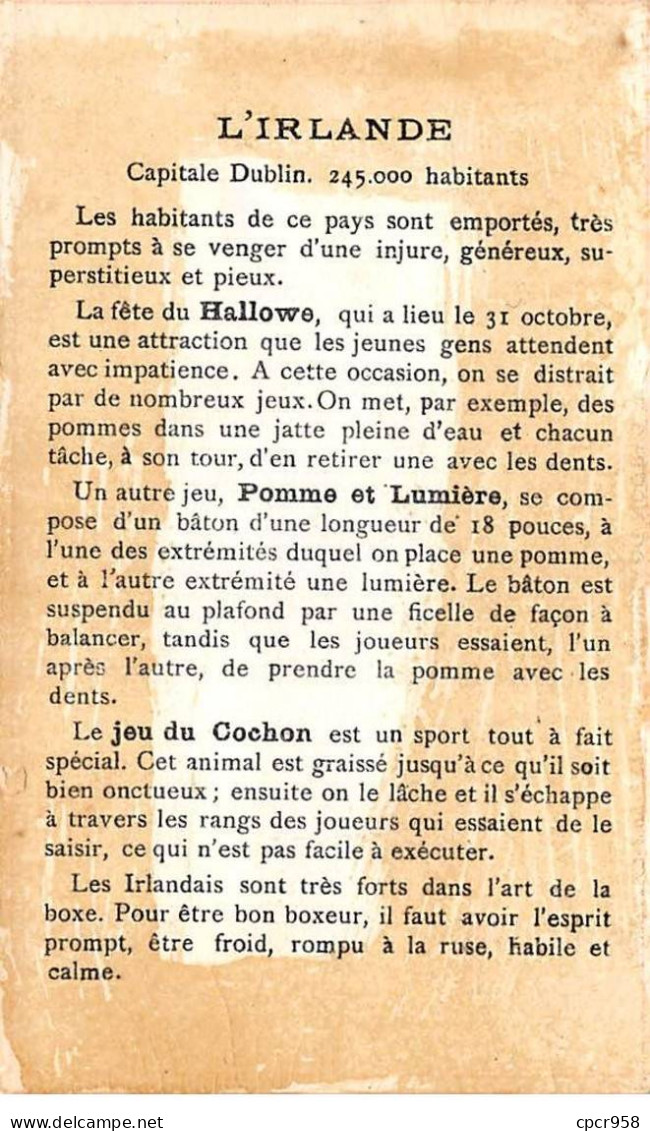 Chromos.AM16608.9x13 Cm Environ.Chicorée.A La Boulangère.Irlande.Pomme Et Lumière.Jeu Du Cochon.Hallowe - Tè & Caffè