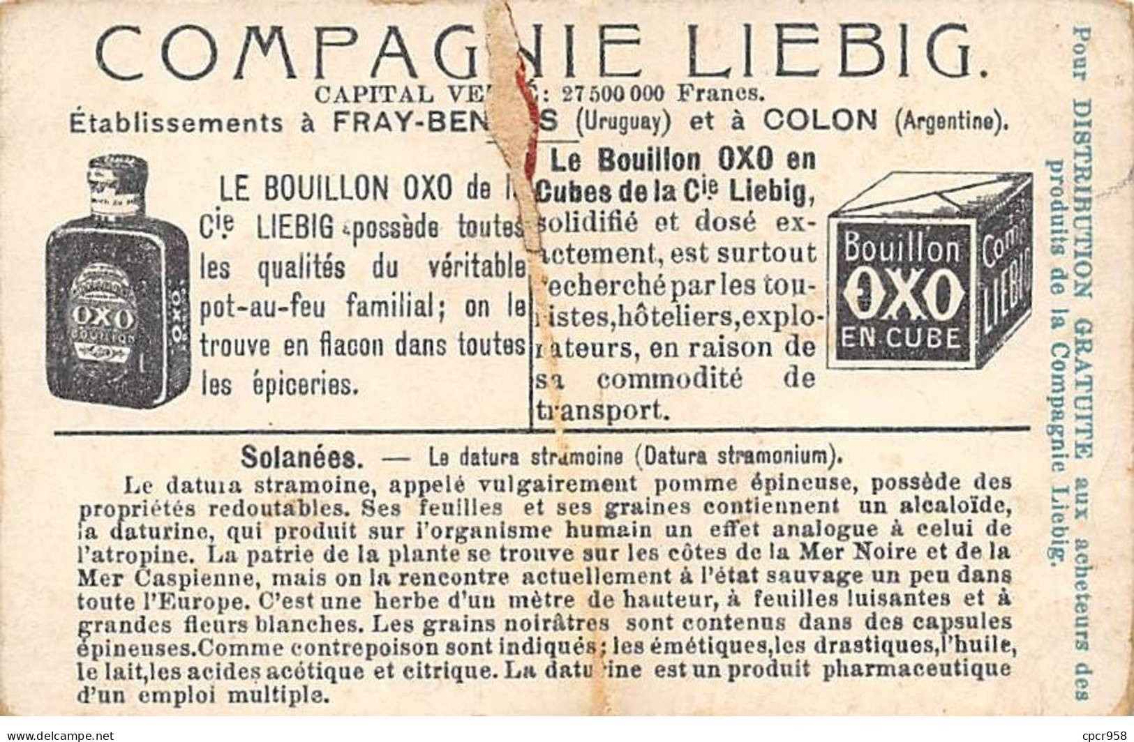 Chromos.AM13300.Liebig.Solanées.La Datura Stramoise.Russe De La Crimée.Triage Et Décortication Des Fruits De Datura - Liebig