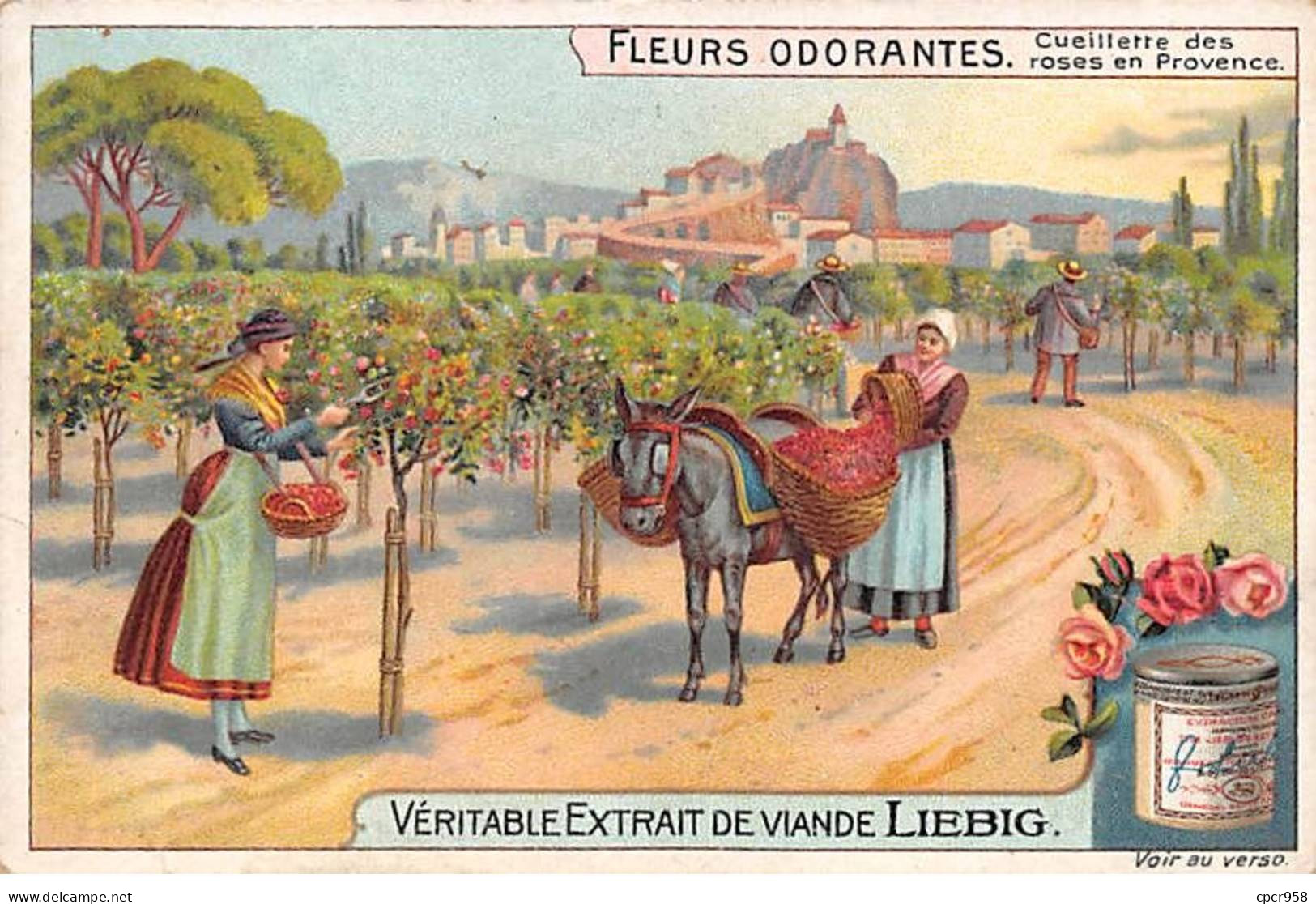 Chromos.AM13288.Liebig.Fleurs Odorantes.Cueillette Des Roses De Provence - Liebig