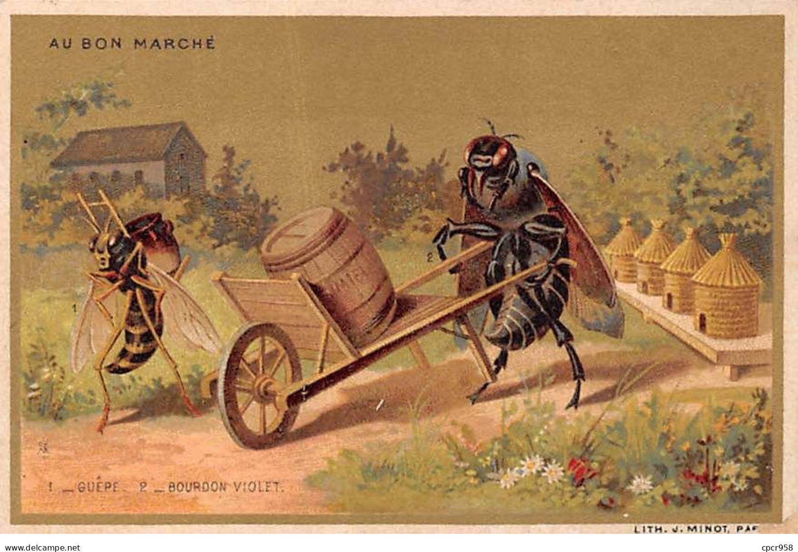 Chromos -COR11132 - Au Bon Marché - Guêpe- Bourdon Violet - Campagne- Maison  - 8x12cm Env. - Au Bon Marché