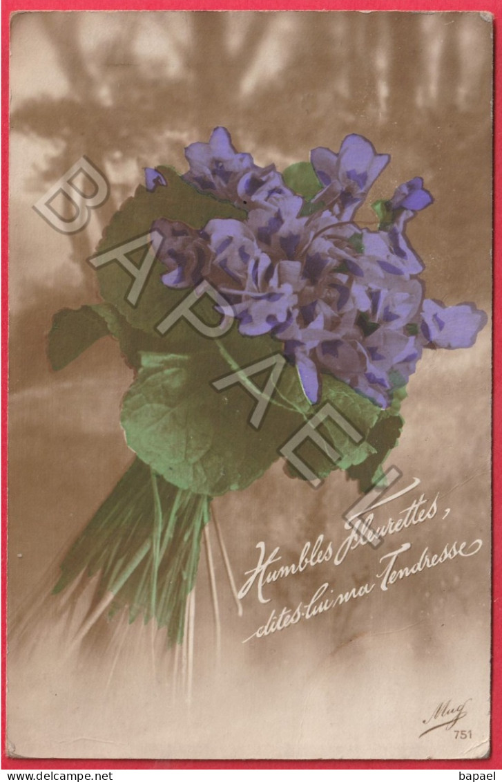 "Humbles Fleurettes, Dîtes-lui Ma Tendresse" - Bouquet De Violettes - Autres & Non Classés