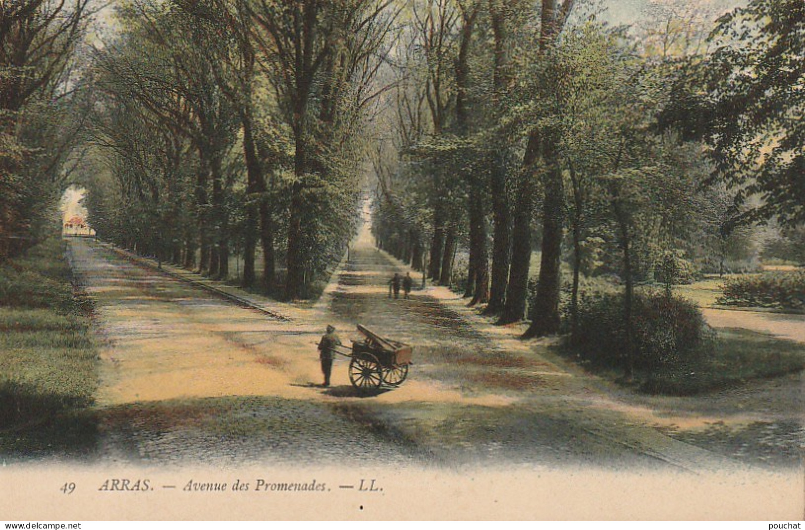 ZY 86-(62) ARRAS - AVENUE DES PROMENADES - ANIMATION - CARTE COLORISEE - 2 SCANS - Arras