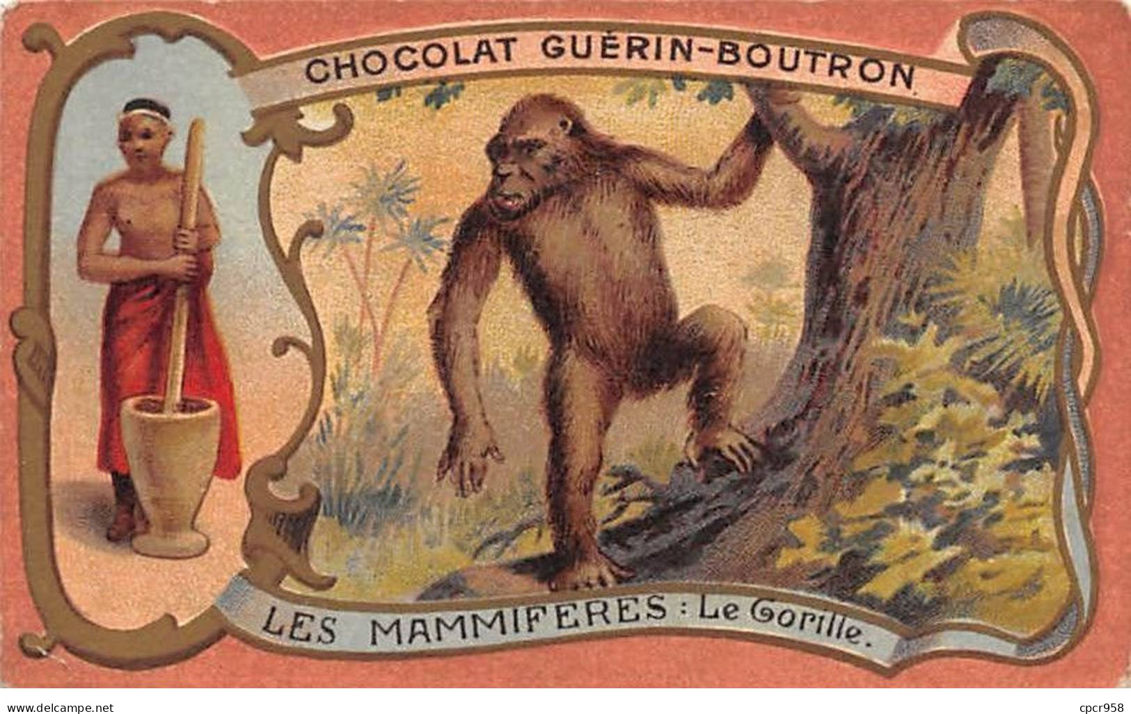 Chromos -COR11546 - Chocolat Guérin-Boutron - Les Mammifères - Le Gorille -  6x10cm Env. - Guerin Boutron