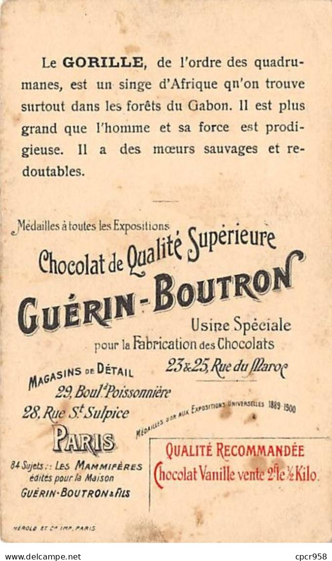 Chromos -COR11546 - Chocolat Guérin-Boutron - Les Mammifères - Le Gorille -  6x10cm Env. - Guerin Boutron