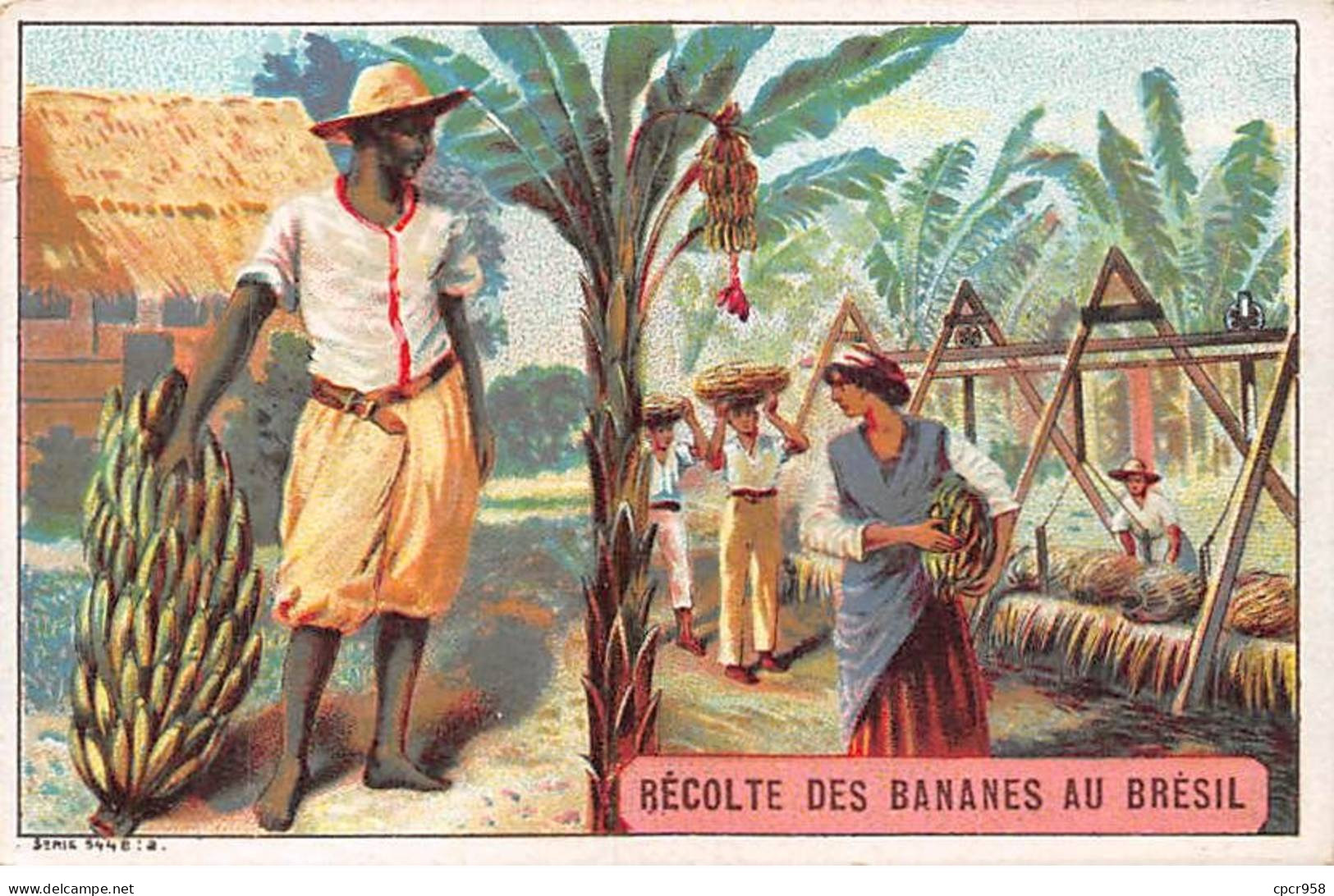 Chromos -COR11466 - Chicorée Boulangère - Récolte Des Bananes - Brésil - Hommes - Femme -  7x10cm Env. - Thé & Café