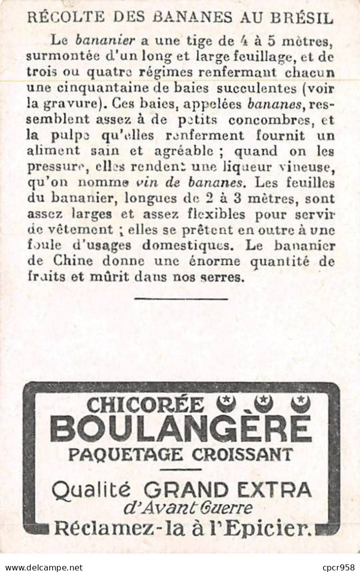 Chromos -COR11466 - Chicorée Boulangère - Récolte Des Bananes - Brésil - Hommes - Femme -  7x10cm Env. - Thé & Café