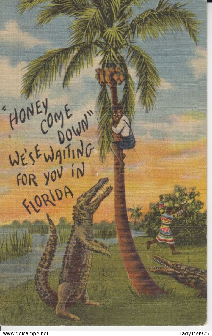 ''Honey Come Down'' We'se Waiting For You In Florida USA Crocodile Standing Colored Man In Tree Énorme Crocrodile Debout - Autres & Non Classés